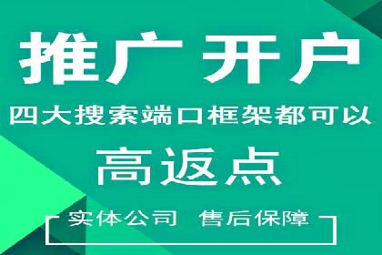 百度竞价推广代运营成功案例深度剖析